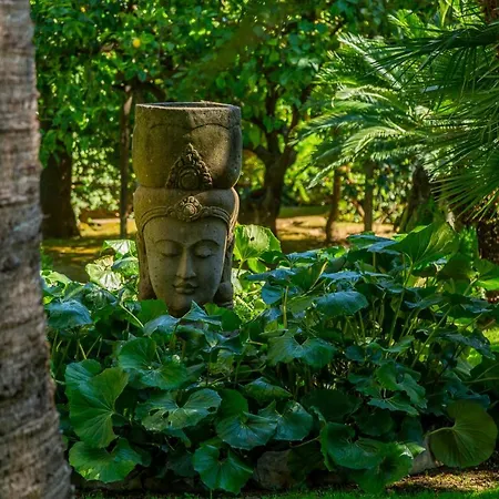 Donna Elisa Sorrento