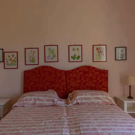 Donna Elisa Sorrento