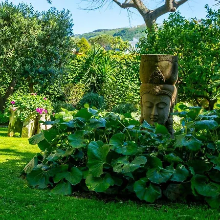 Donna Elisa * Sorrento