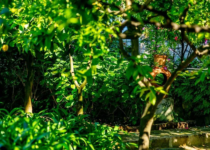 别墅 Donna Elisa 索伦托