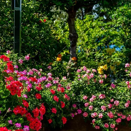 Donna Elisa Villa Sorrento