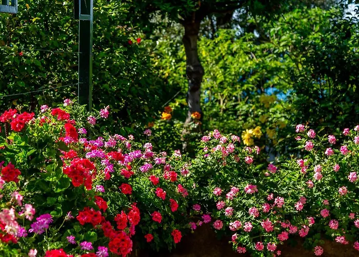 Donna Elisa ヴィラ ソレント